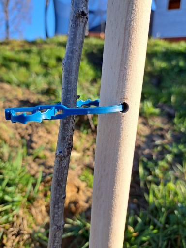 Podpórka do pomidorów drzewek + opaski 160 cm 22