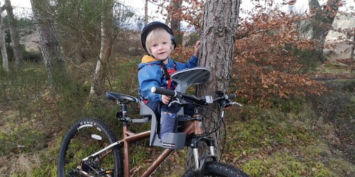 WeeRide Safe Classic Серое велосипедное сиденье США/ЕС