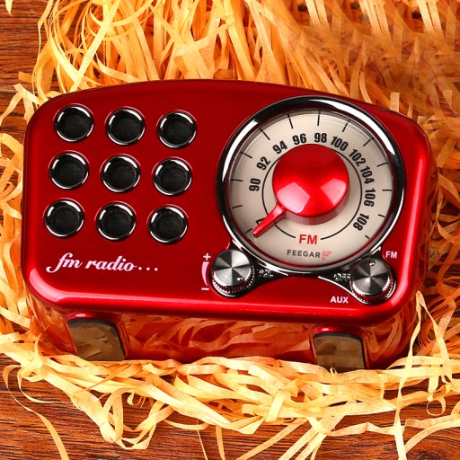 Feegar РЕТРО FM кухонное радио Портативное BT 10h SD