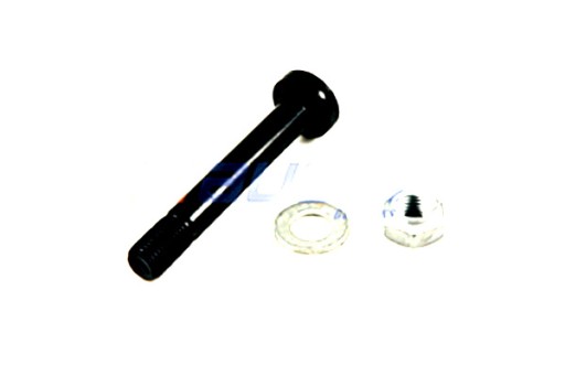 ВИНТ КРЕПЛЕНИЯ ПРУЖИНЫ ШНЕКА M30X3,5 BPW