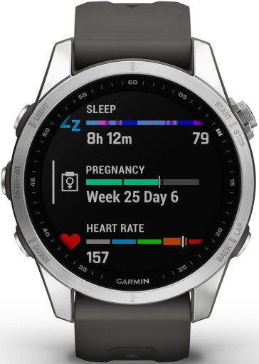 Умные часы GARMIN Fenix ​​7S Серебристо-серые