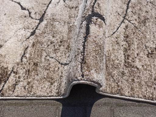 Miami Rug 60x100 Tree Trunk 129 V BEIGEE NEW !!
