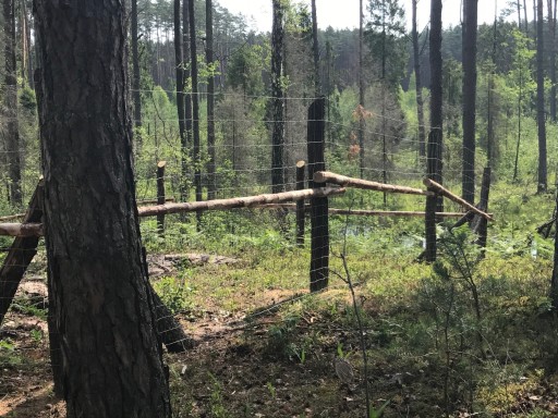 СЕТКА ДЛЯ ЗАБОРА ЛЕСНАЯ 125см, высота, рулон 50м
