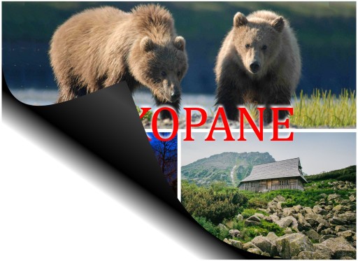 Magnes na lodówkę pamiątka z Zakopanego magnesy Zakopane regionalne Z5