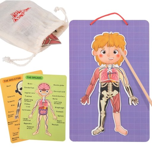 Tooky Toy Деревянная магнитная головоломка Монтессори