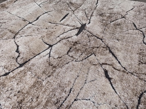 Miami Rug 60x100 Tree Trunk 129 V BEIGEE NEW !!