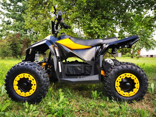 ГРИЗЛИ ATV 1000W ЭЛЕКТРОДВИГАТЕЛЬ АВТО БАГГИ ВНЕДОРОЖНЫЙ АККУМУЛЯТОР 48V 1KW