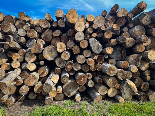 Beech Trunk 50 см x 21см Piemacek Peniek для разбивки деревянных насосов Big