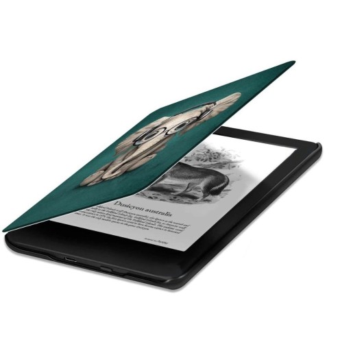 КРЫШКА ДЛЯ KINDLE 11 2022 C2V2L3