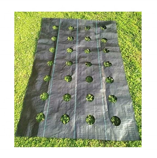 AGROTKANINA Z OTWORAMI POD SAŁATĘ OGÓRKI CEBULE CZOSNEK ITP 1,10 X 10m Z UV