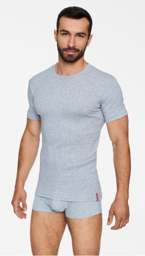 HENDERSON koszulka krótki rękaw 1495 *XL* szary