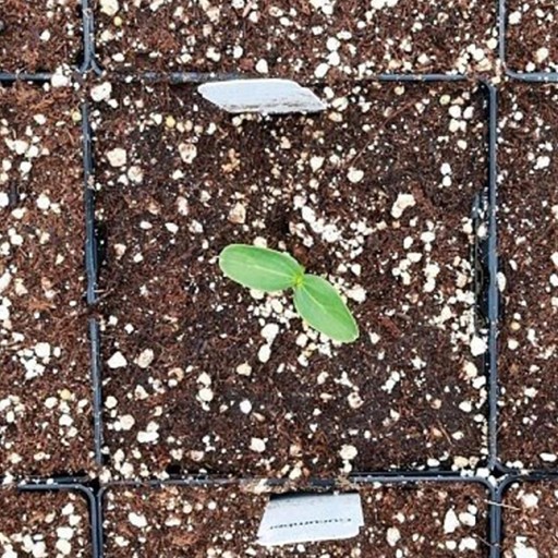 Садоводческий перлитовый кондиционер для посева почвы Agroperlit Rooter 20л
