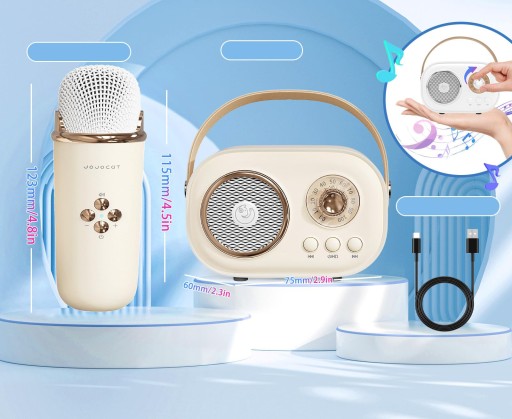 БЕСПРОВОДНОЙ КАРАОКЕ-МИКРОФОН BLUETOOTH ДИНАМИК C20 PLUS + 2 МИКРОФОНА