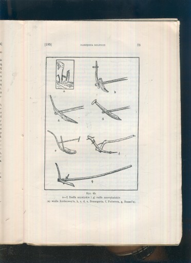 Сельскохозяйственные инструменты типа резца; Ян Фальковски; 1931 год