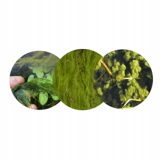 TETRA Pond AlgoFin 3L удаляет водоросли и цианобактерии из пруда