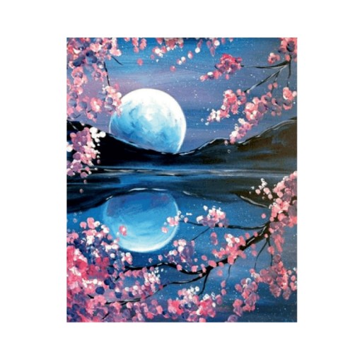 Diamond Embroidery Diamond 30x40cm Moon DPX-12672