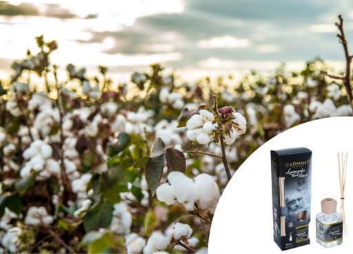 Диффузор освежителя воздуха для дома, чувственный аромат L. da Vinci Cotton