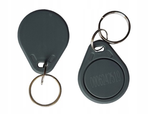 TAG RFID Уникальный брелок 125 кГц EM4100 для МЕЖТЕХНЕГО ЗАМКА серый 100 шт.