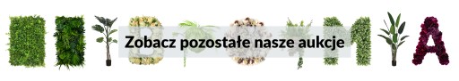 OGRÓD Wertykalny NA WYMIAR Zielona Ściana