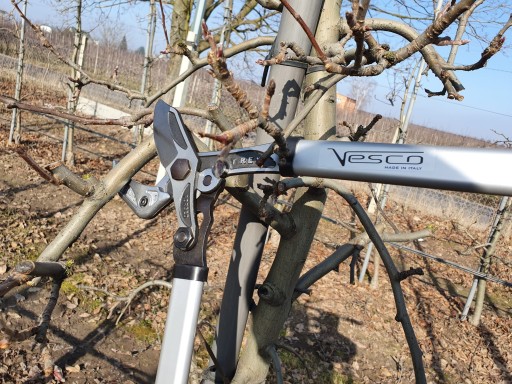 Двуручные секаторы, садовые ножницы с наковальней, ИТАЛЬЯНСКИЙ VESCO T-REX T20/80см