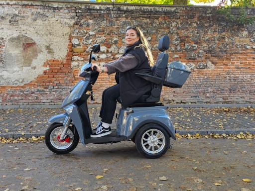 ELECTRORIDE FASTI 3 MAX серого цвета + ремень безопасности