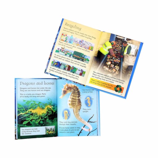 Usborne Набор для начинающих «Наш мир»