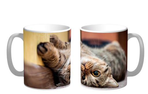 КРУЖКА С КОШКОЙ, ПОДАРОК ​​КОШКЕ, КОШКА, КОТЕНОК, ИМЯ, КАРТОН, 330МЛ