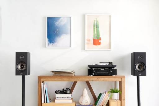 POLK AUDIO RESERVE R200 100% ENERGY РОЗНИЧНАЯ МУЗЫКА С SUPER BASS