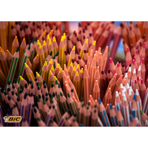КАРАНДАШИ BIC KIDS EVOLUTION STRIPES БЕЗДРЕВЕСНЫЕ КАРАНДАШИ, 24 ЦВЕТА ДЛЯ ДЕТЕЙ