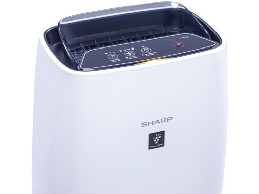 Очиститель воздуха + ионизатор Sharp FP-J40EU-W