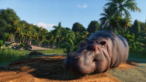 Планета Zoo Console Edition PL Xbox Series X/S Ключ
