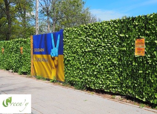 Mata na ogrodzenie z żywopłotu sztucznego winobluszczu wieloletnia 1,5x3 m