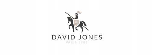 David Jones duży plecak sportowy na laptopa lekki
