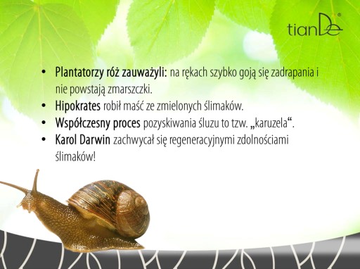 РЕГЕНЕРИРУЮЩИЙ КРЕМ ДЛЯ ГЛАЗ SNAIL SECRET tianDe