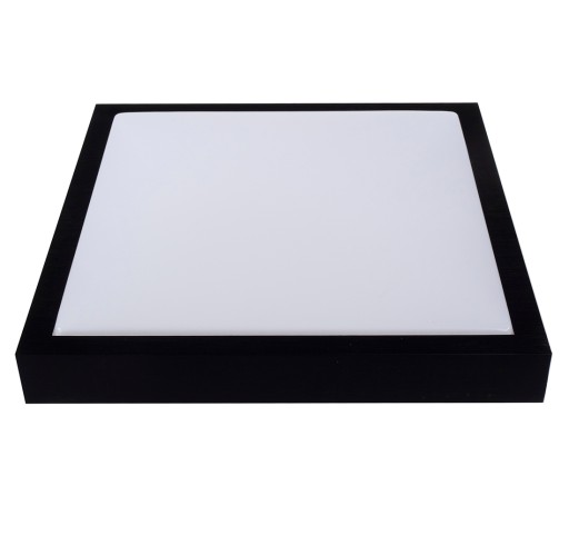 Светильник Настенный потолочный светильник Plafon 2x E27 LED