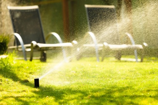 Трава Barenbrug WaterSaver, устойчивая к засухе, 10 кг