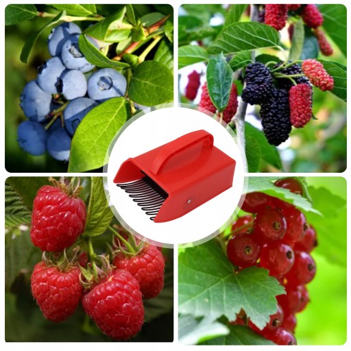 BIOWIN BLUEBERRY PICKER, ЧЕРНИЦА, СМОРОДИНА