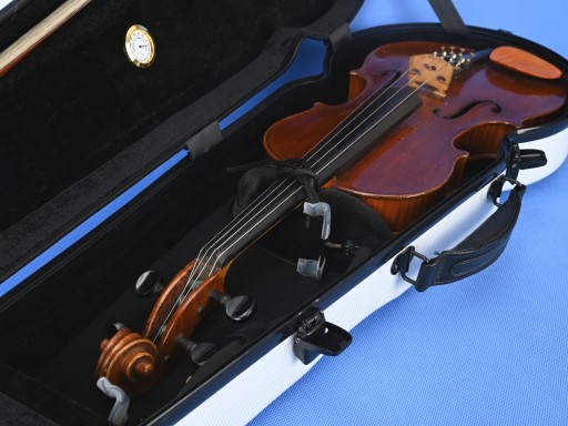 Чехол ArtMG Viola для альта OMEGA WT-G