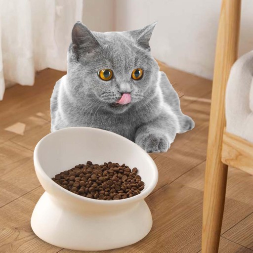 Миска для кошек приподнятая Поилка для маленьких собак Puppy Cat с толстым дном