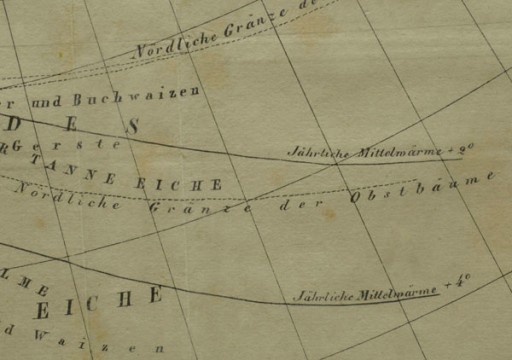 1835r. Stara Mapa roślinności Europy 42x32 cm