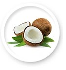 МАТРАС ДЛЯ КОКОСОВОЙ ПЕНЫ COCONUT FOAM 120X60 ПРЕМИУМ ДЛЯ ДЕТСКОЙ кроватки