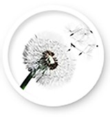 Зональный матрас для кровати 140х70х11см COCONUT ZONES