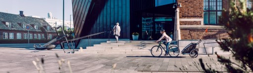 2-местный прицеп Thule Coaster XT, синий