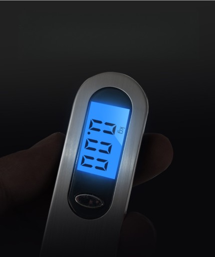 Electronic Scale 50kg Portable Handheld