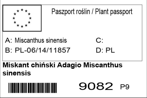 МИСКАНТУ КИТАЙСКИЙ ADAGIO MISCANTHUS SINENSIS ТРАВА P