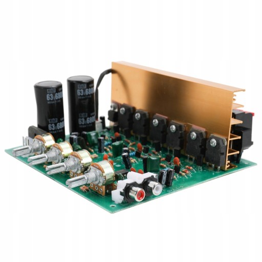 ПЛАТА АУДИОУСИЛИТЕЛЯ ВЫСОКОЙ МОЩНОСТИ DX-2.1