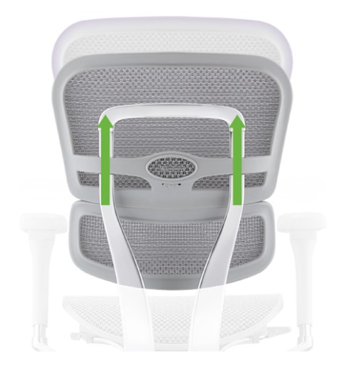 Офисное кресло Ergohuman 2 Elite Mesh, черный
