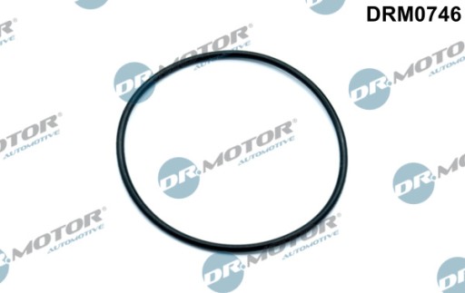 Вакуумные насосы DR.MOTOR AUTOMOTIVE DRM0746