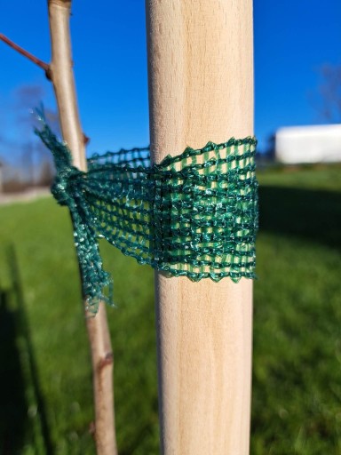 Podpora do drzewek owocowych i krzewów 32mm 70 cm