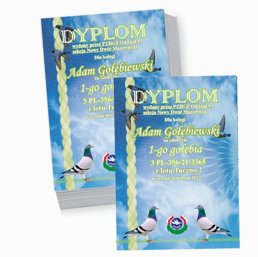 Dyplomy hodowcy gołębi loty + gratis